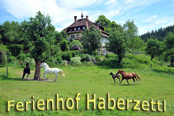 Herzlich Willkommen am Ferienhof Haberzettl in Schnatten bei Grades, mitten im Naturparadies Metnitztal!